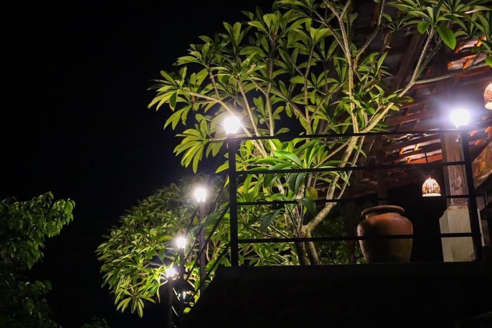 The Lady Cinnamon - Galle Nature lodge in Southern Province