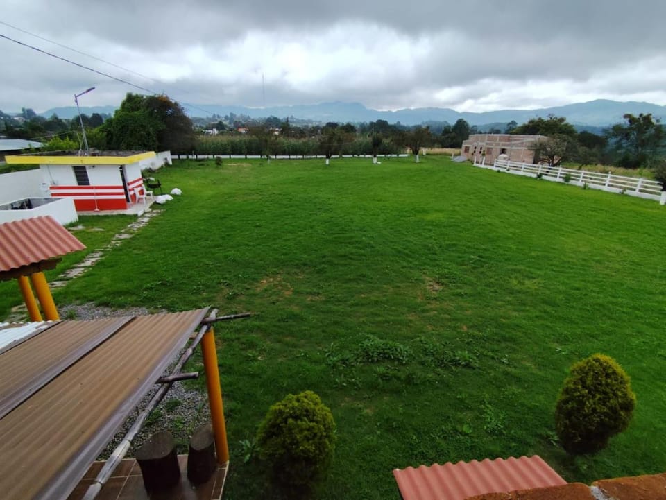 Balcony/Terrace, Garden view