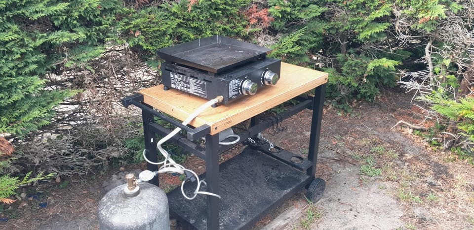 Day, BBQ facilities