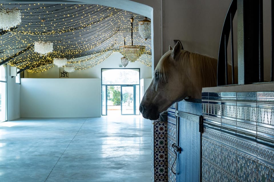 Mas de Dard Villa in Saintes-Maries-de-la-Mer