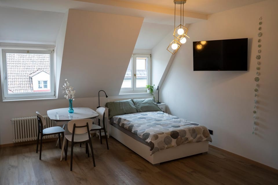 Bed, TV and multimedia, Living room, Photo of the whole room, Seating area, Dining area, Bedroom