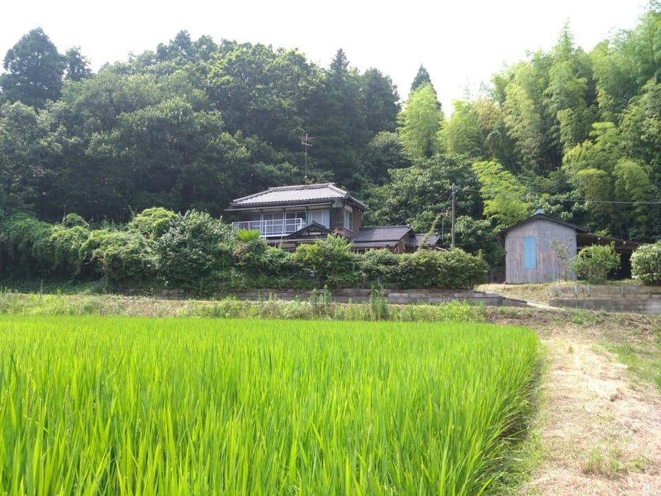 Property building, Natural landscape, Garden