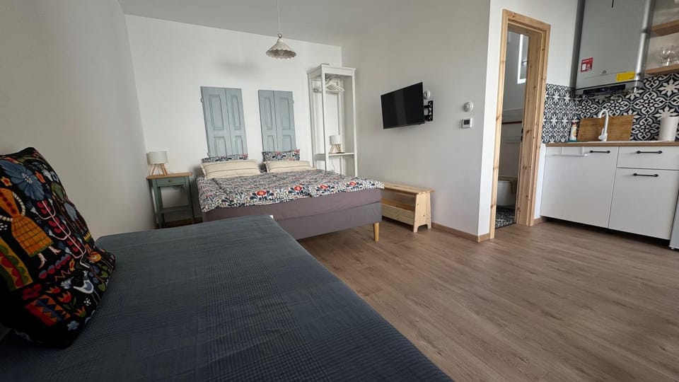 Bed, TV and multimedia, Kitchen or kitchenette, Living room, Photo of the whole room, Seating area, Bedroom, oven, pet friendly, stove