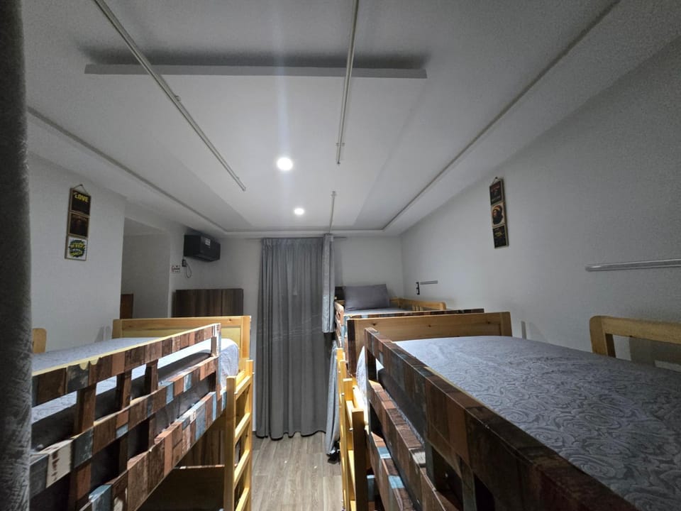 Bed, Photo of the whole room, Bedroom, bunk bed