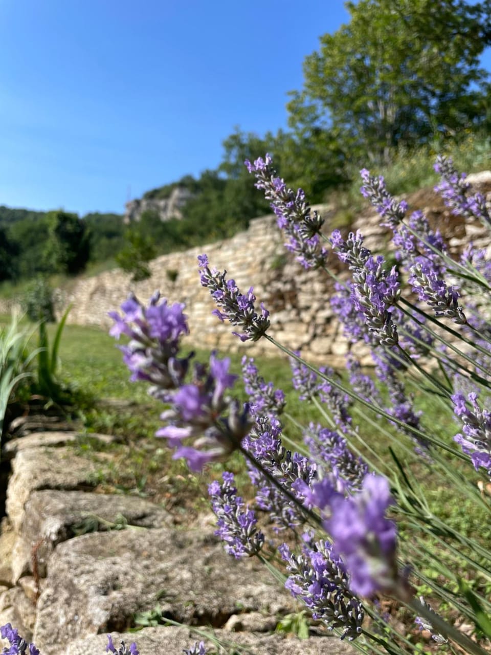 Domaine des Druides Villa in Apt