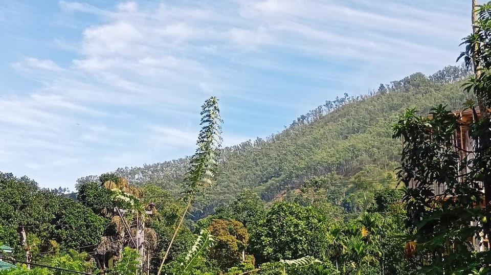 Mountain view
