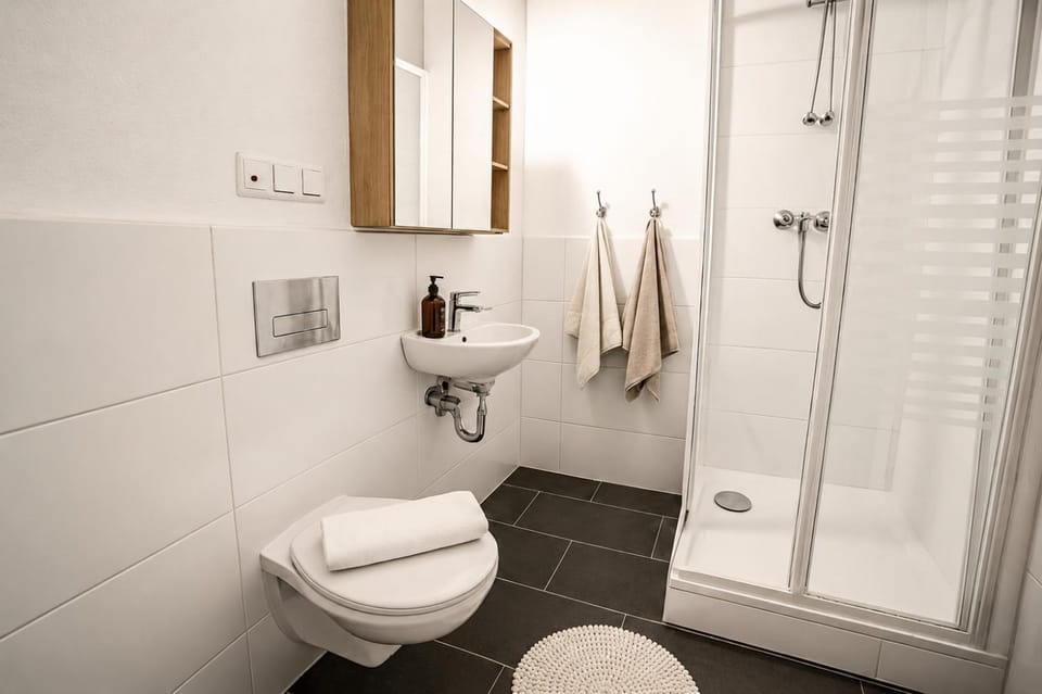 Shower, Toilet, Bathroom, towels