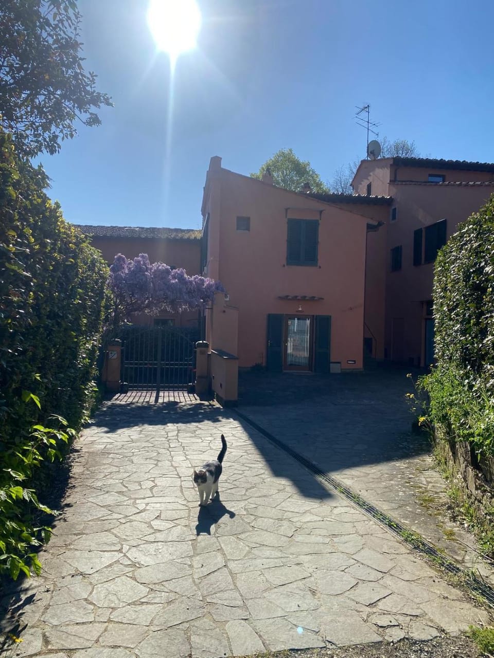 La camera nel verde Bed and Breakfast in Florence