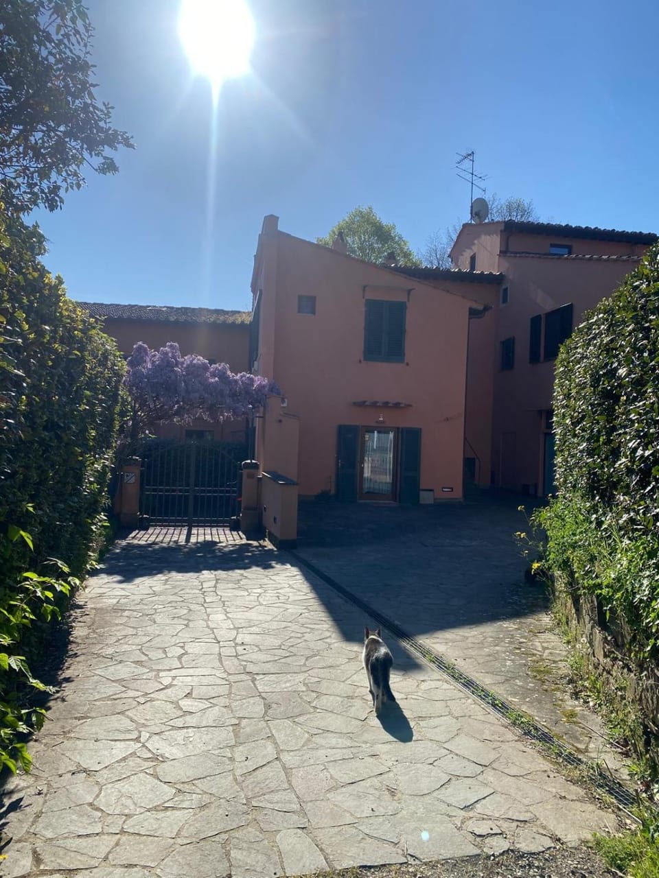 La camera nel verde Bed and Breakfast in Florence