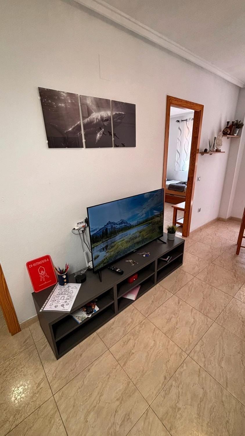 TV and multimedia