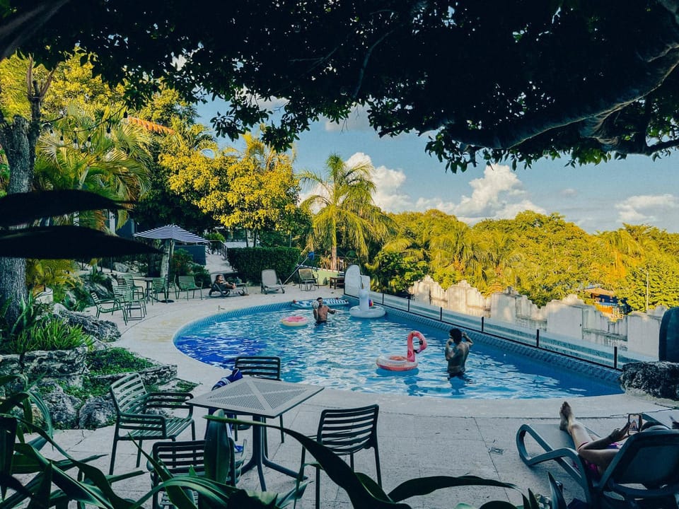 Day, Natural landscape, Garden, Pool view, Swimming pool, Swimming pool, sunbed