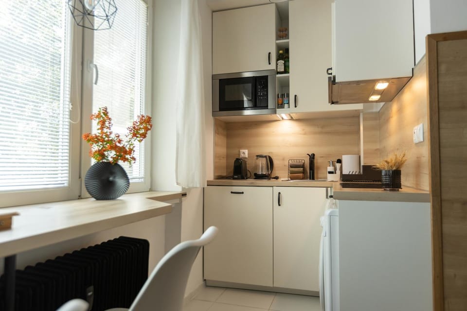 Coffee/tea facilities, Kitchen or kitchenette, oven
