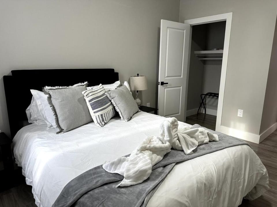 Spacious Modern 1 Bedroom RARE Apt w GYM Apartment in Albany
