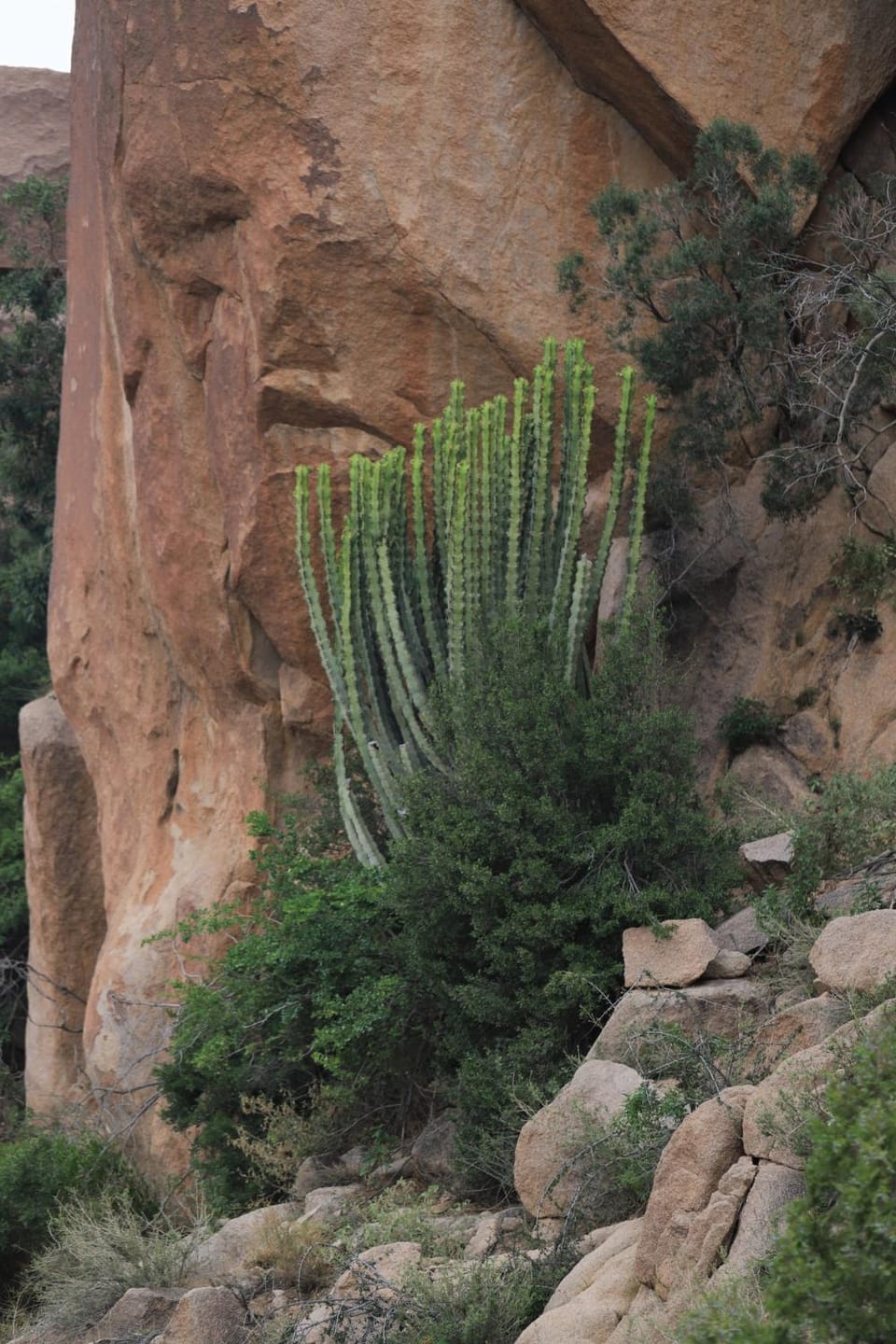 Natural landscape