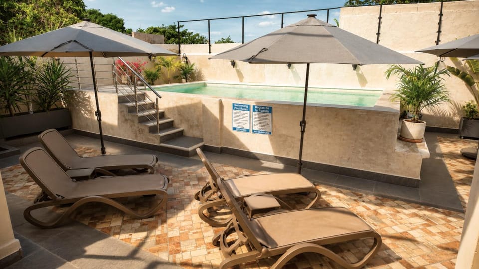 Lounge or bar, Pool view, Swimming pool, Swimming pool, sunbed