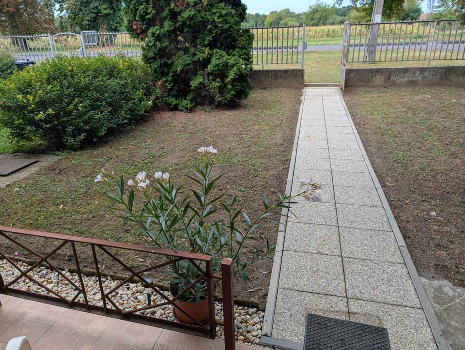 Summer, Garden