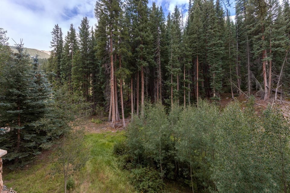 Lone Eagle #3020 : 2 Apartment in Keystone