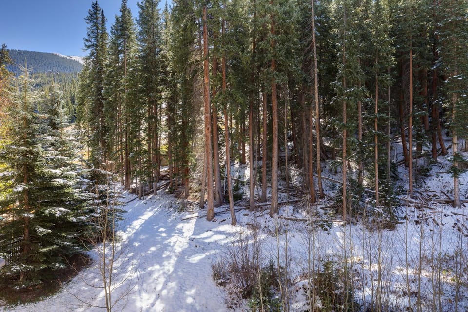 Lone Eagle #3020 : 2 Apartment in Keystone