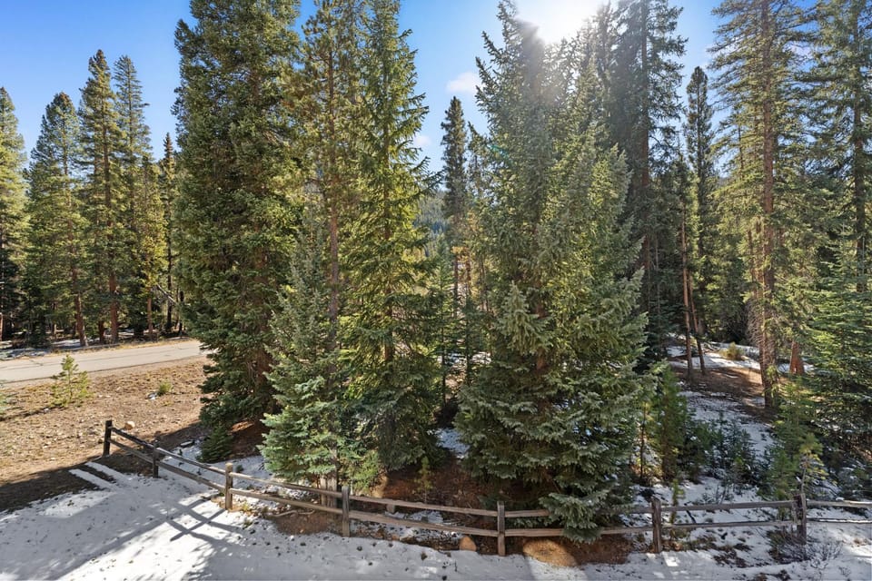 Ski Tip #8719 : 2 Apartment in Keystone