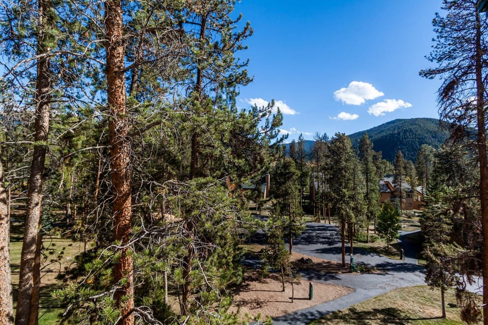 Quicksilver #1658 Apartment in Keystone
