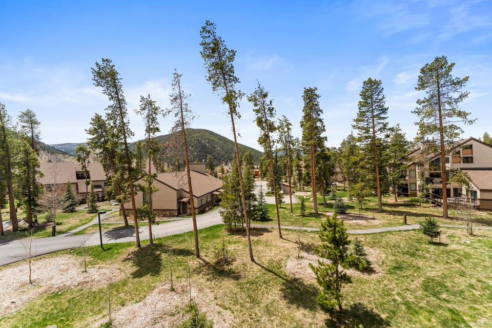 Quicksilver #1645 Apartment in Keystone
