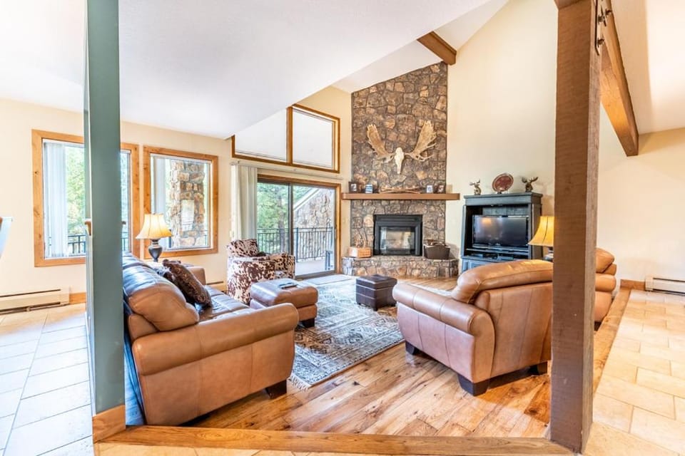 Day, TV and multimedia, Living room, Seating area, fireplace, furniture