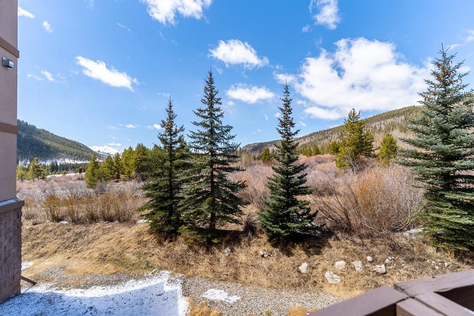 Oro Grande #203 Apartment in Keystone