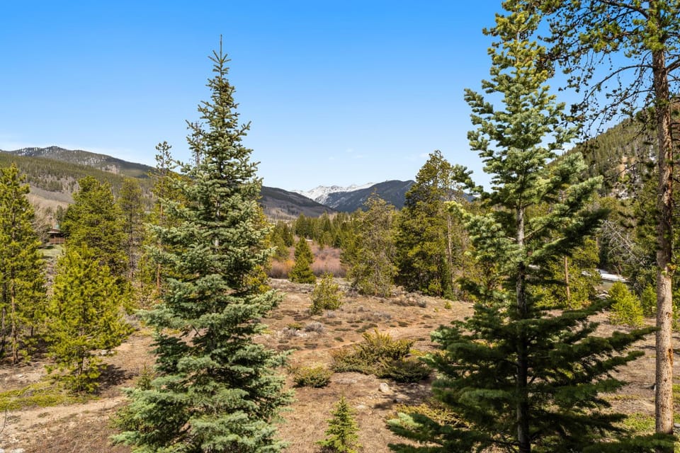 Pines #2071 : 2 Apartment in Keystone