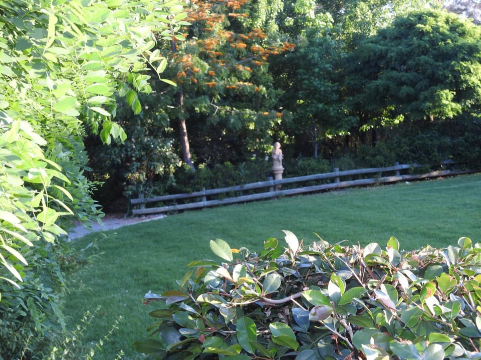 Garden, Garden view