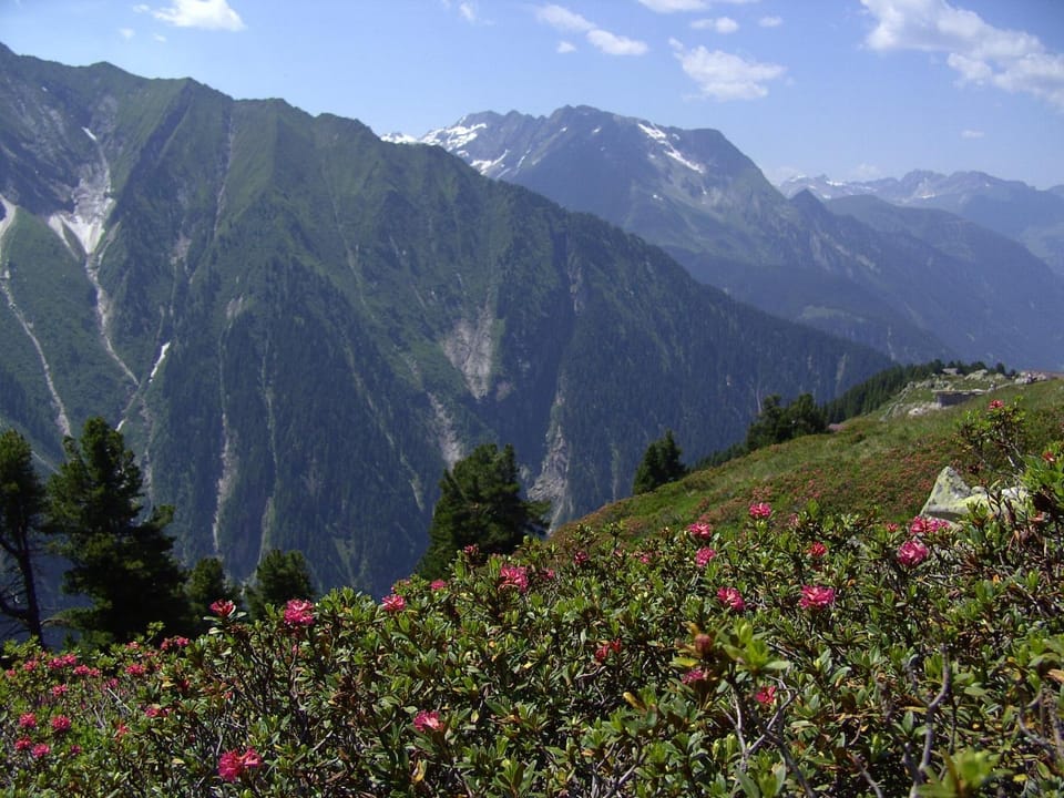 Natural landscape