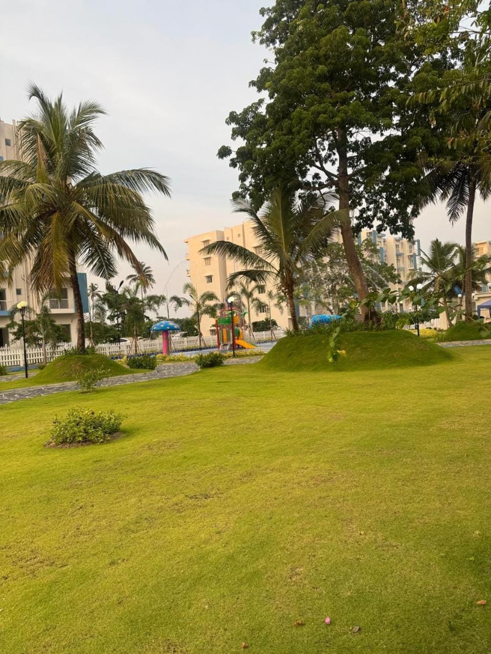 Garden, Garden, Garden view