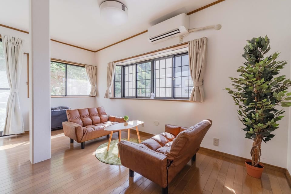 Living room, Seating area, air conditioner