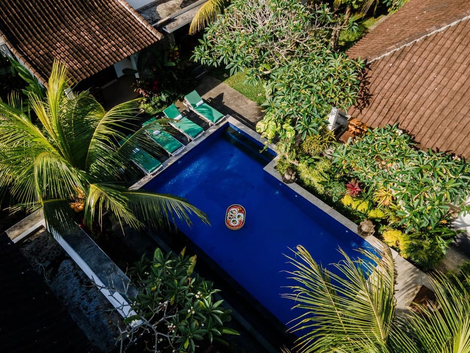Day, Garden, Garden view, Pool view, Swimming pool