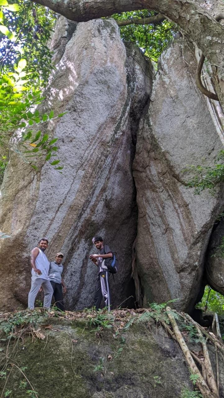 Hiking