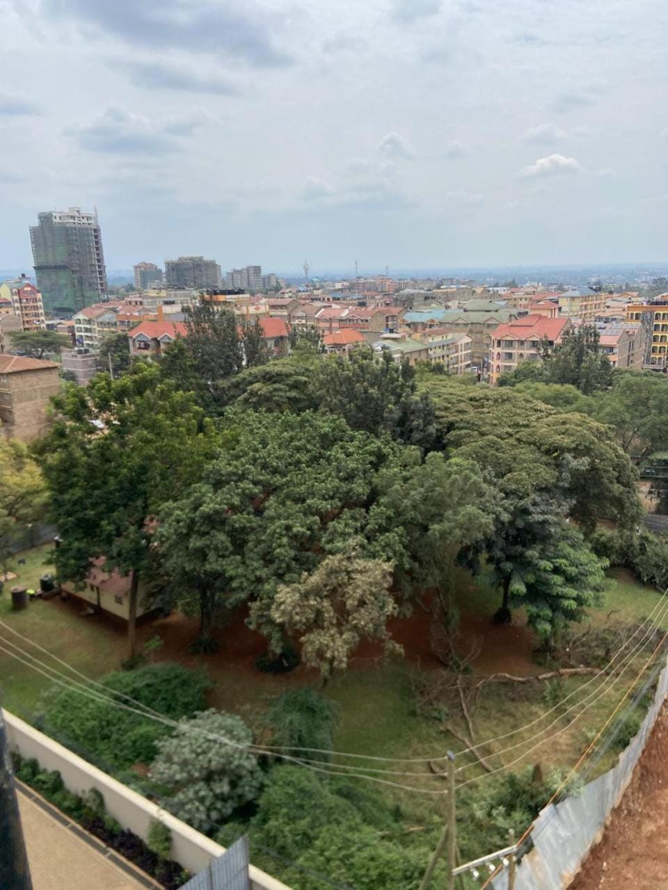 Garden view