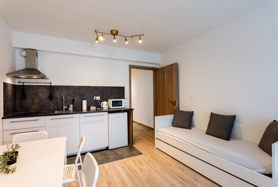 Brand new studio apartment #50 FREE PARKING close to center Apartment in Prague