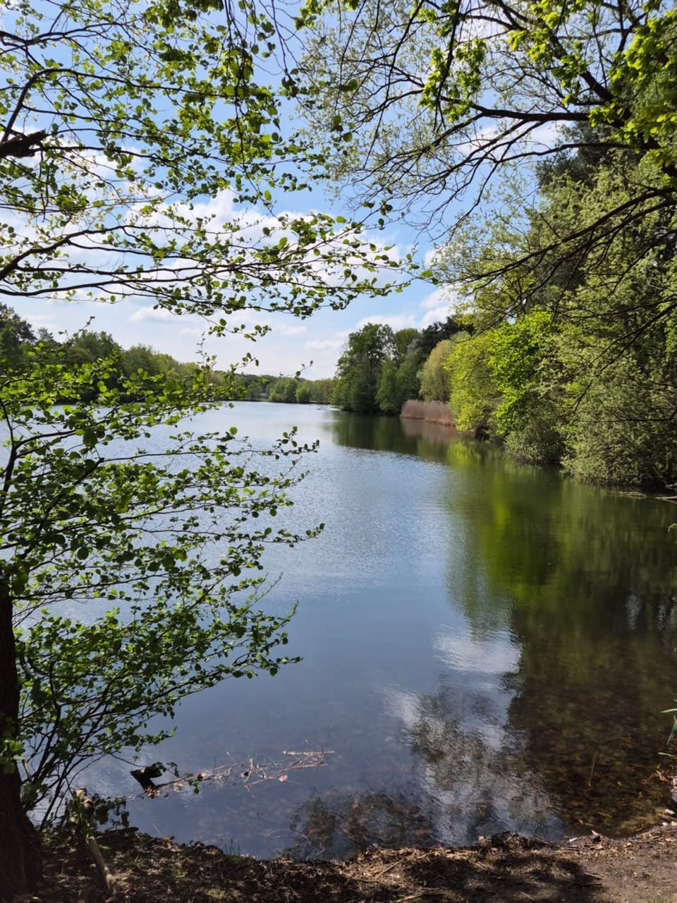 Natural landscape