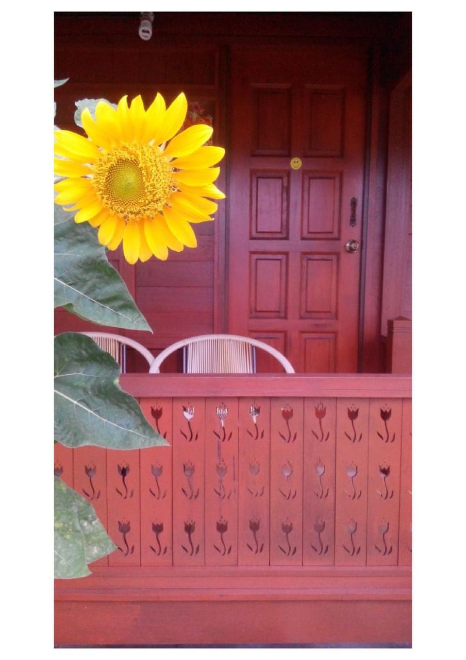 Balcony/Terrace