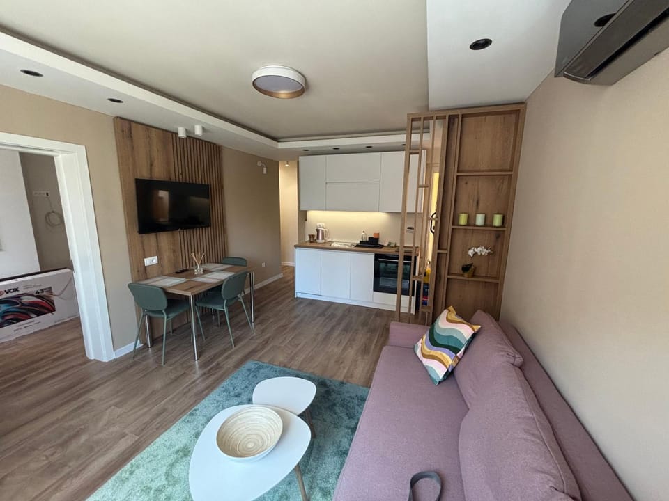 Bed, TV and multimedia, Kitchen or kitchenette, Living room, Photo of the whole room, Seating area, Dining area