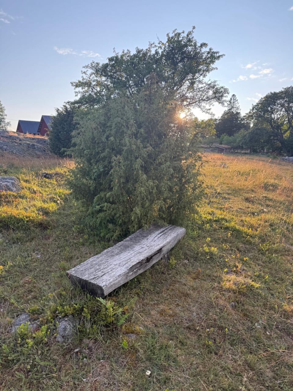 Day, Natural landscape