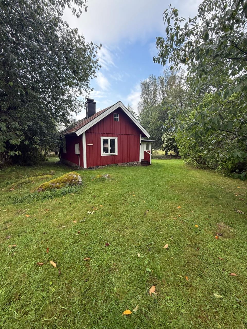 Property building, Garden, Garden view