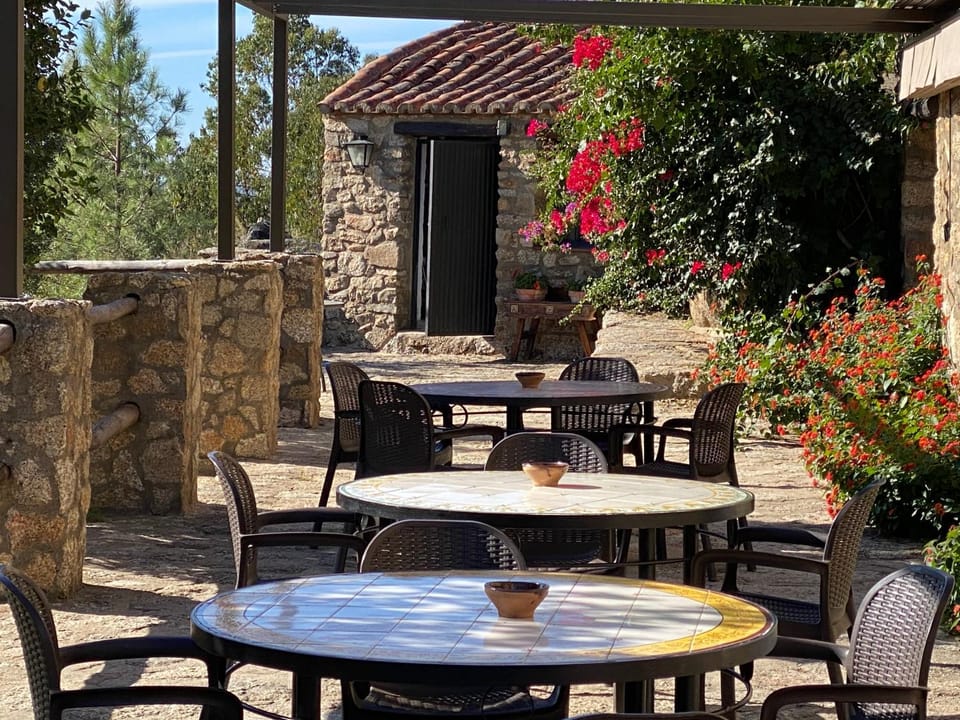 Patio, Balcony/Terrace