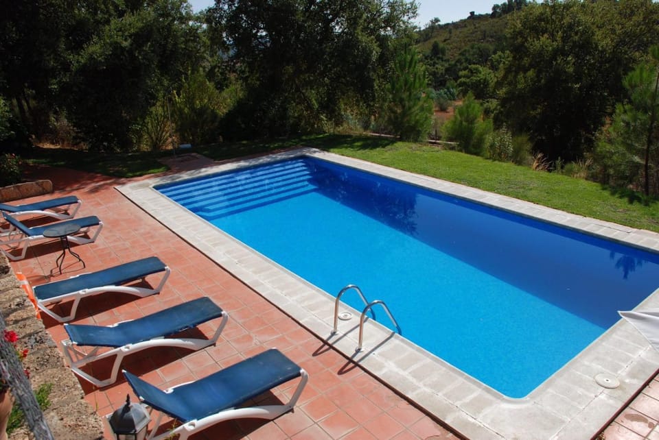 Swimming pool, Swimming pool, sunbed