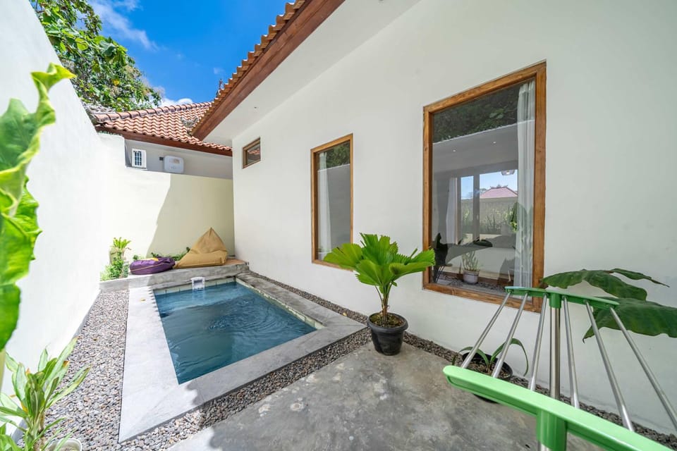 Patio, Swimming pool