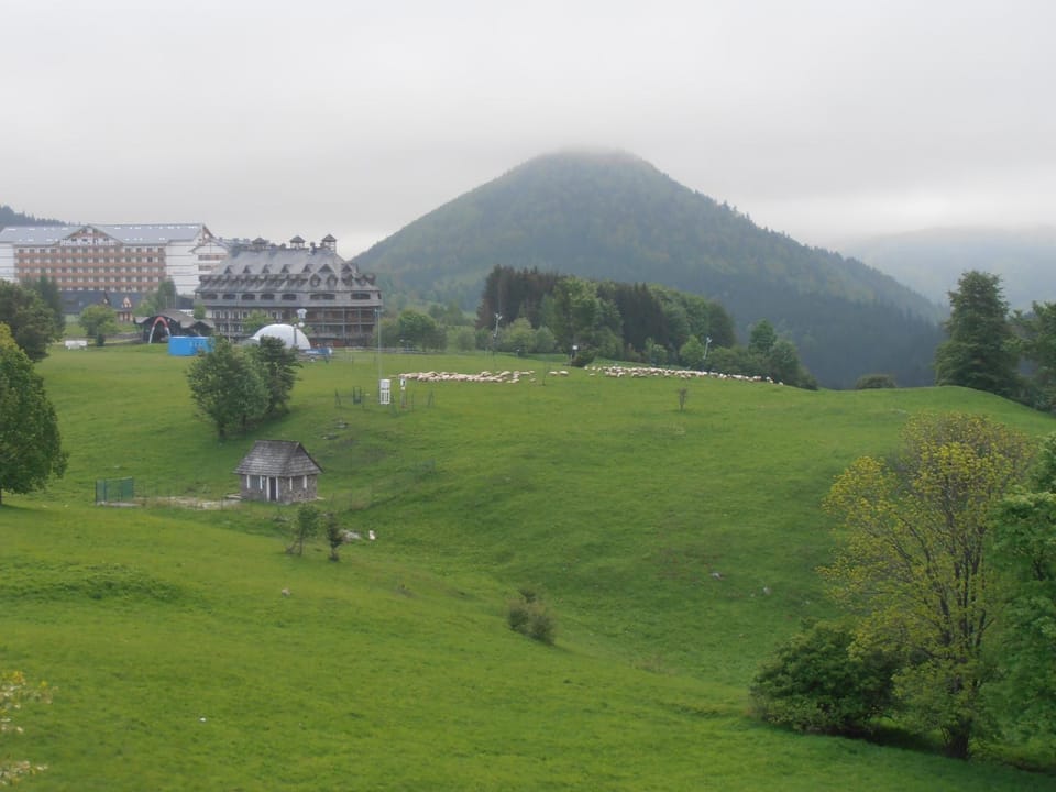 Neighbourhood, Natural landscape, Summer