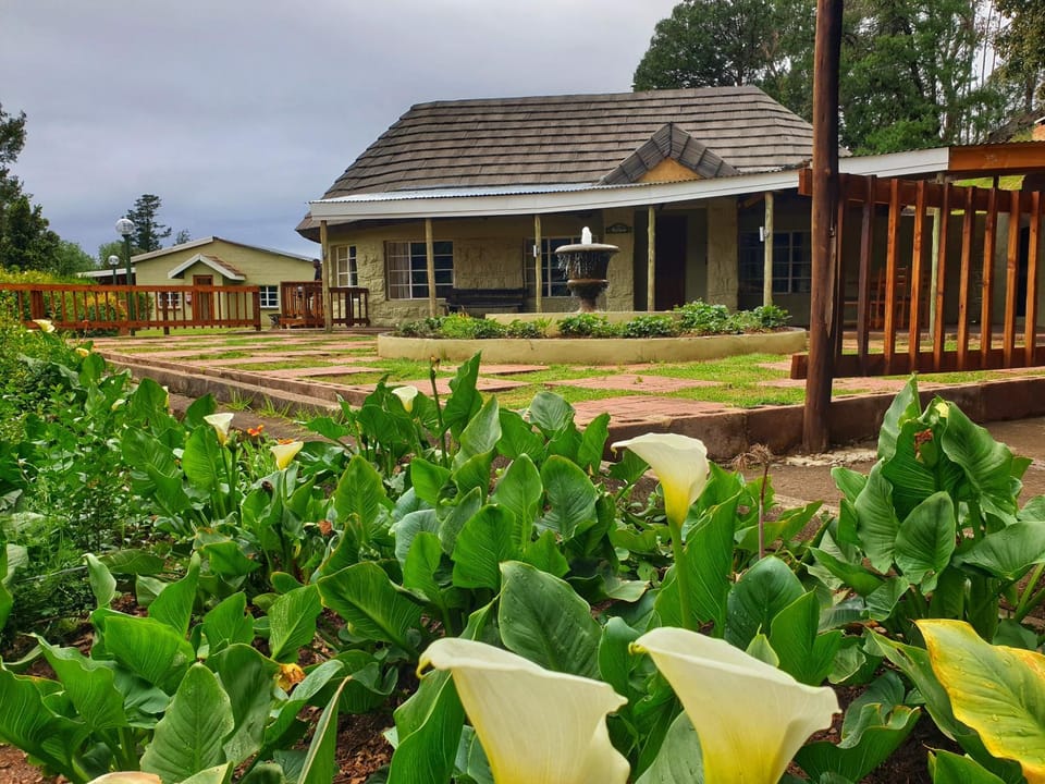 Property building, Garden view
