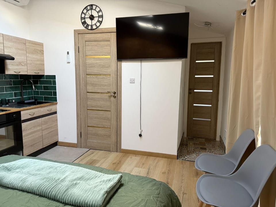 Bed, TV and multimedia, Kitchen or kitchenette, Living room, Photo of the whole room, Bedroom