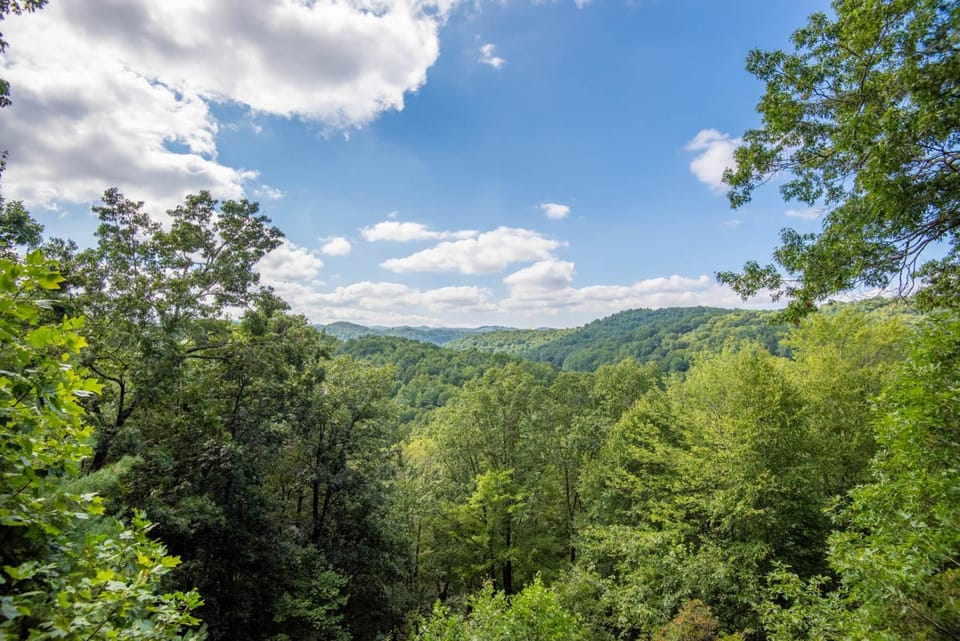 Fleetwood Falls - VIEWS - Lake and New River Access - Close to Todd & Boone - 30 Min to Skiing House in Watauga