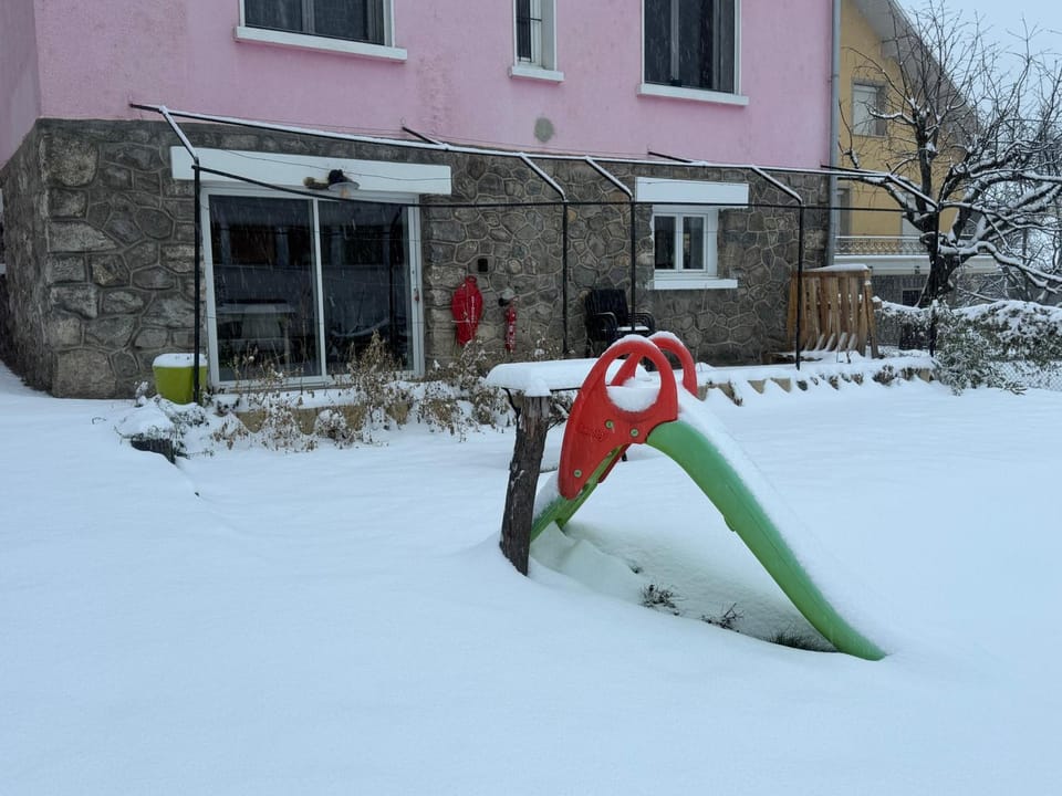 Patio, Day, Winter, Garden