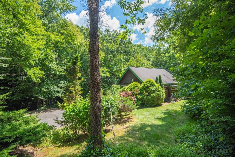 Secluded 2 Bd Cabin- Firepit, Hot Tub, Dogs OK, Sleeps 6 Cabin in Watauga